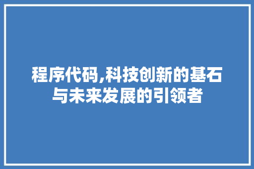 程序代码,科技创新的基石与未来发展的引领者