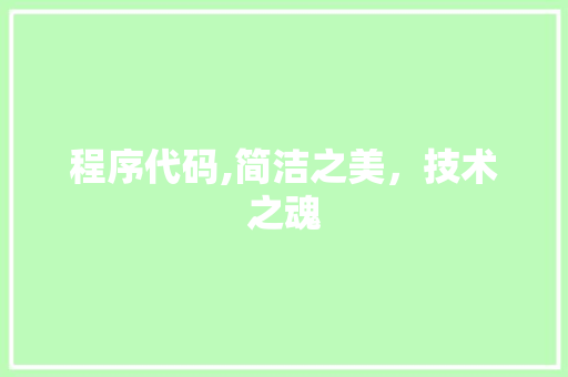 程序代码,简洁之美，技术之魂