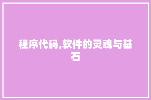 程序代码,软件的灵魂与基石