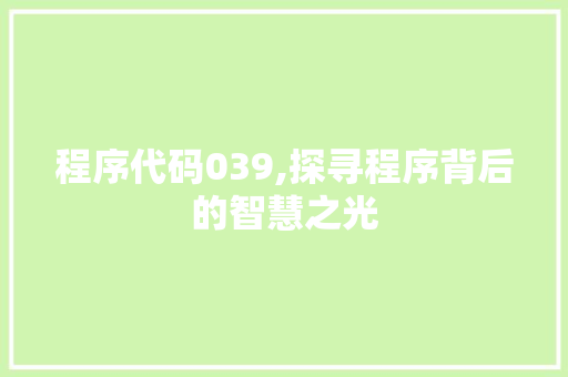 程序代码039,探寻程序背后的智慧之光