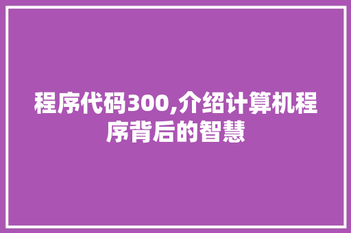 程序代码300,介绍计算机程序背后的智慧