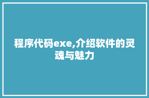 程序代码exe,介绍软件的灵魂与魅力 程序代码exe,介绍软件的灵魂与魅力 神马SEO