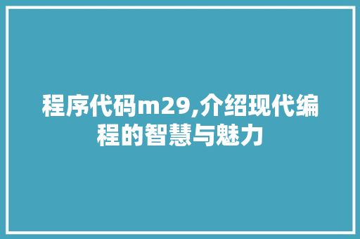 程序代码m29,介绍现代编程的智慧与魅力