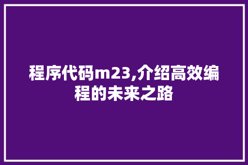 程序代码m23,介绍高效编程的未来之路