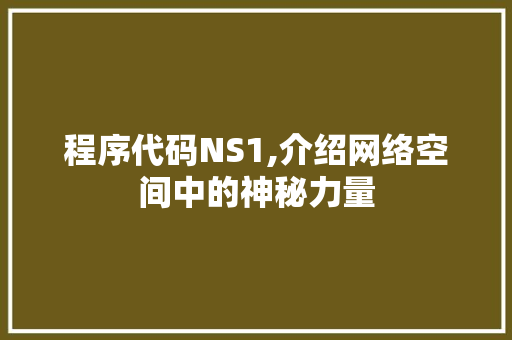 程序代码NS1,介绍网络空间中的神秘力量