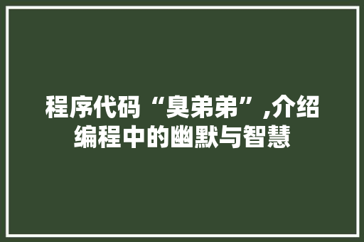 程序代码“臭弟弟”,介绍编程中的幽默与智慧