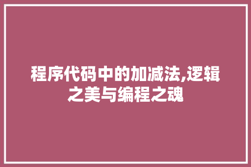 程序代码中的加减法,逻辑之美与编程之魂