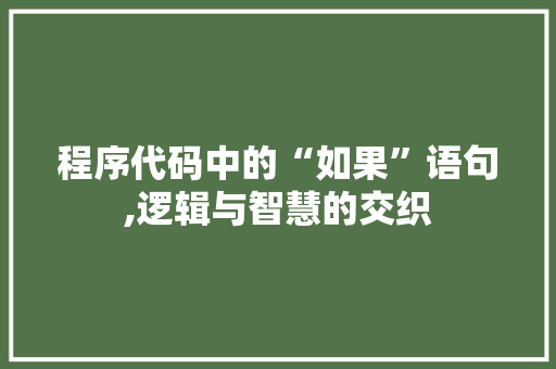 程序代码中的“如果”语句,逻辑与智慧的交织