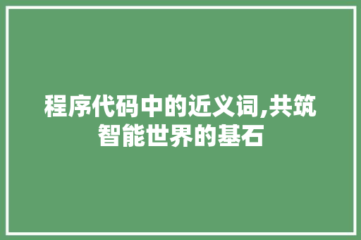 程序代码中的近义词,共筑智能世界的基石