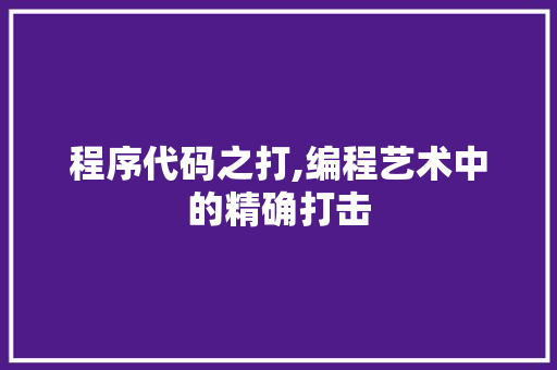 程序代码之打,编程艺术中的精确打击