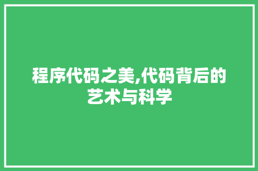 程序代码之美,代码背后的艺术与科学