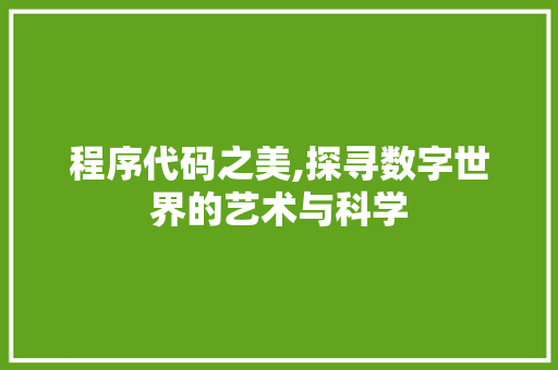 程序代码之美,探寻数字世界的艺术与科学