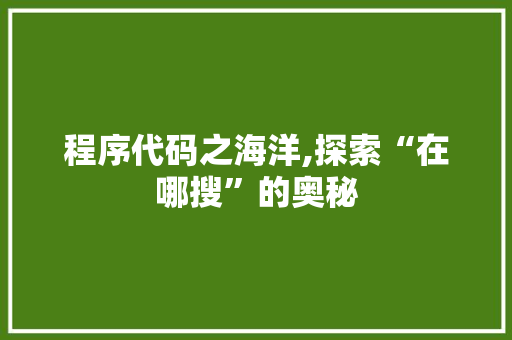 程序代码之海洋,探索“在哪搜”的奥秘