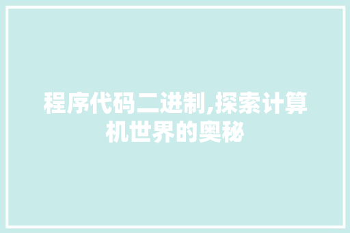 程序代码二进制,探索计算机世界的奥秘