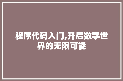 程序代码入门,开启数字世界的无限可能