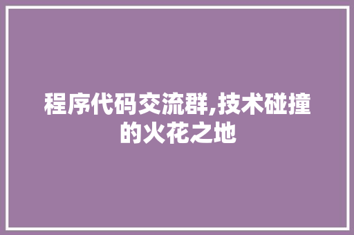 程序代码交流群,技术碰撞的火花之地