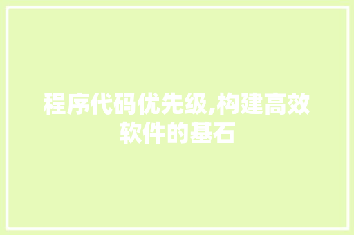 程序代码优先级,构建高效软件的基石