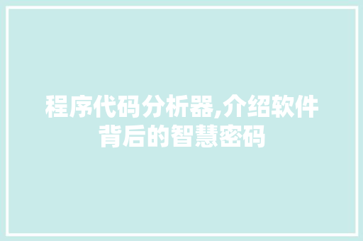 程序代码分析器,介绍软件背后的智慧密码