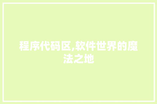 程序代码区,软件世界的魔法之地
