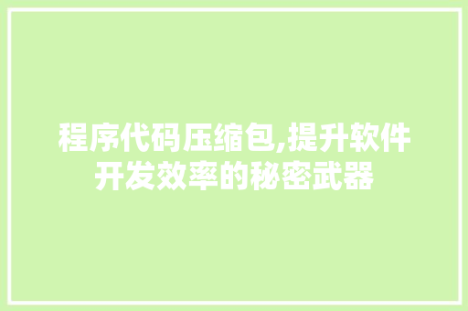 程序代码压缩包,提升软件开发效率的秘密武器