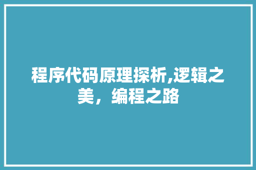 程序代码原理探析,逻辑之美，编程之路