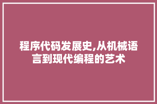 程序代码发展史,从机械语言到现代编程的艺术