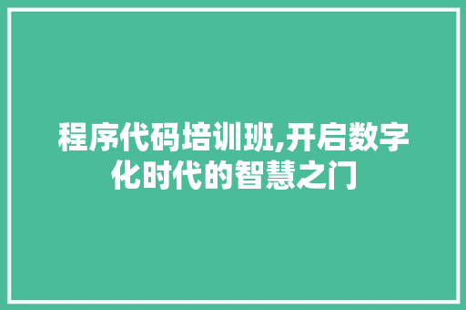 程序代码培训班,开启数字化时代的智慧之门