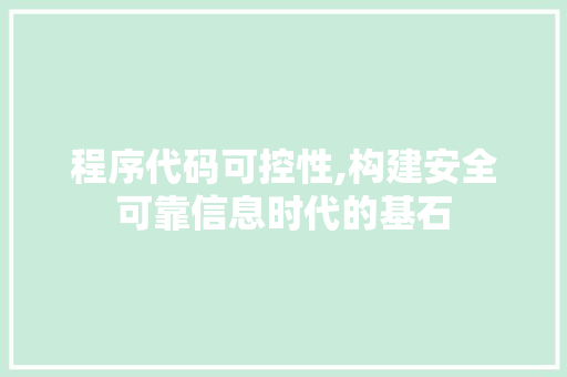 程序代码可控性,构建安全可靠信息时代的基石