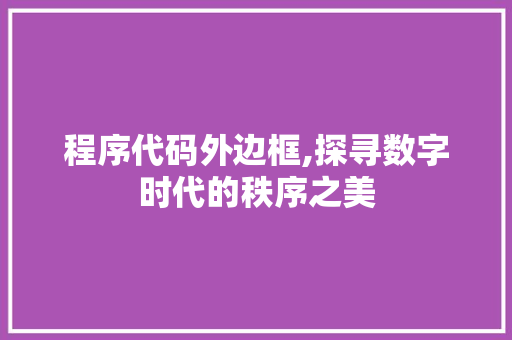 程序代码外边框,探寻数字时代的秩序之美