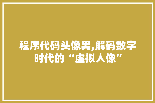 程序代码头像男,解码数字时代的“虚拟人像”
