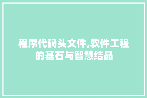 程序代码头文件,软件工程的基石与智慧结晶