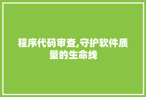 程序代码审查,守护软件质量的生命线