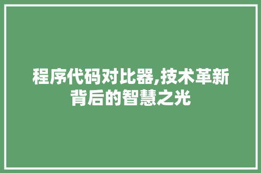 程序代码对比器,技术革新背后的智慧之光