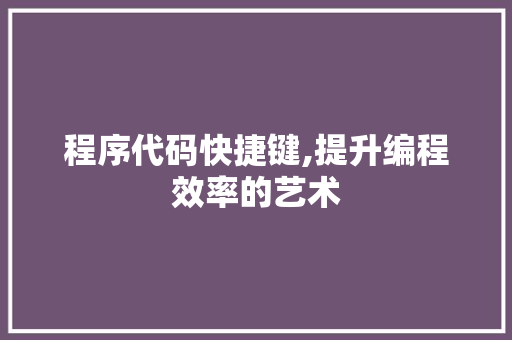程序代码快捷键,提升编程效率的艺术