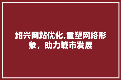 绍兴网站优化,重塑网络形象，助力城市发展