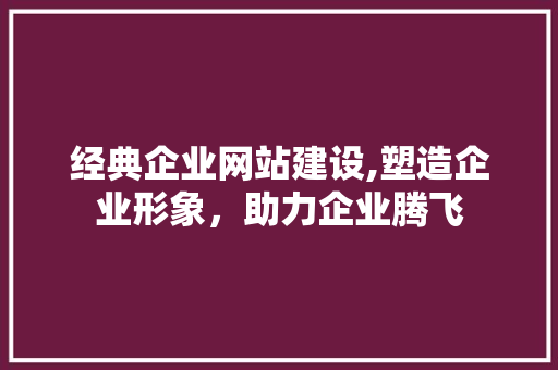 经典企业网站建设,塑造企业形象，助力企业腾飞