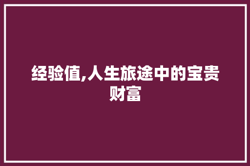 经验值,人生旅途中的宝贵财富 经验值,人生旅途中的宝贵财富 SEO关键词