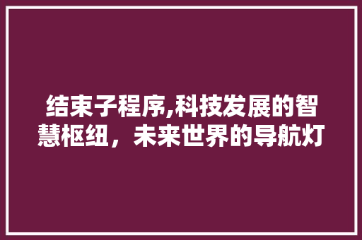 结束子程序,科技发展的智慧枢纽，未来世界的导航灯塔