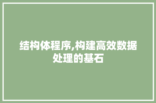 结构体程序,构建高效数据处理的基石 结构体程序,构建高效数据处理的基石 网站建设公司