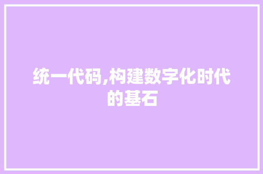 统一代码,构建数字化时代的基石