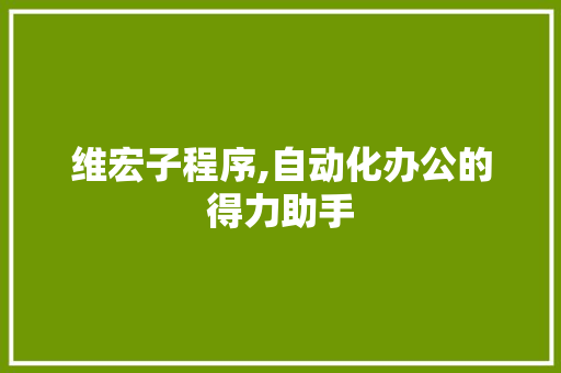 维宏子程序,自动化办公的得力助手