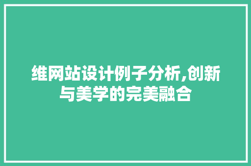 维网站设计例子分析,创新与美学的完美融合