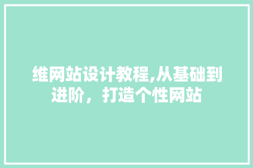 维网站设计教程,从基础到进阶，打造个性网站