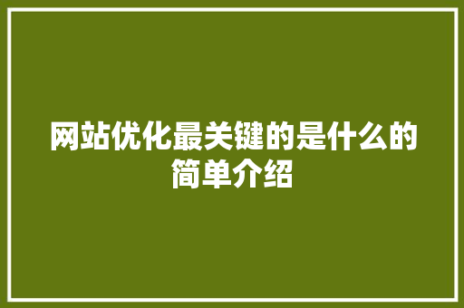 网站优化最关键的是什么的简单介绍