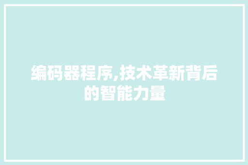 编码器程序,技术革新背后的智能力量