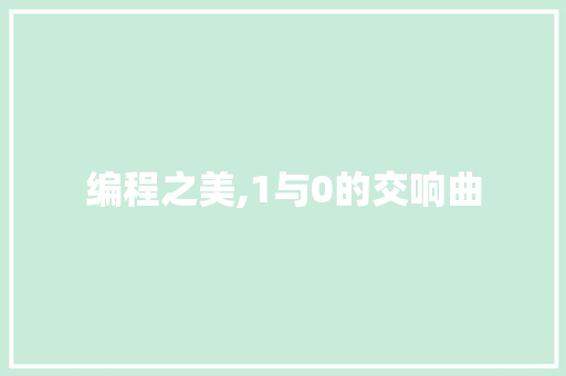 编程之美,1与0的交响曲