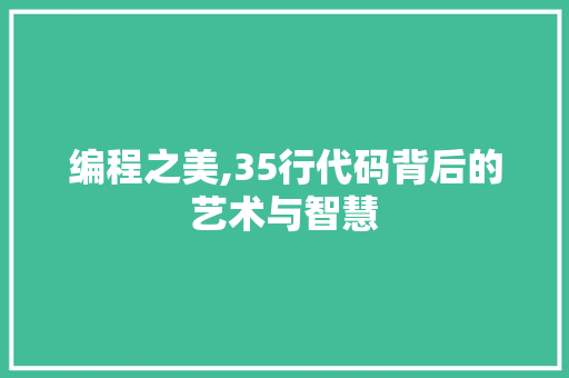 编程之美,35行代码背后的艺术与智慧