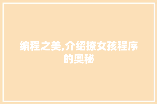 编程之美,介绍撩女孩程序的奥秘