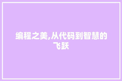 编程之美,从代码到智慧的飞跃