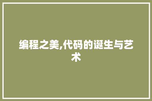 编程之美,代码的诞生与艺术